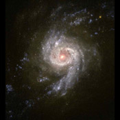 Scientists using NASA's Hubble Space Telescope are studying the colors of star clusters to determine the age and history of starburst galaxies, a technique somewhat similar to the process of learning the age of a tree by counting its rings.