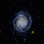 This ultraviolet image from NASA's Galaxy Evolution Explorer is of the large face on spiral galaxy NGC 3344. The inner spiral arms are wrapped so tightly that they are difficult to distinguish.